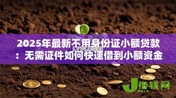 2025年最新不用身份证小额贷款:无需证件如何快速借到小额资金 2025年最新不用身份证小额贷款:无需证件如何快速借到小额资金