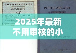 2025年最新不用审核的小额贷款:如何快速获得免审批的小额资金 2025年最新不用审核的小额贷款:如何快速获得免审批的小额资金