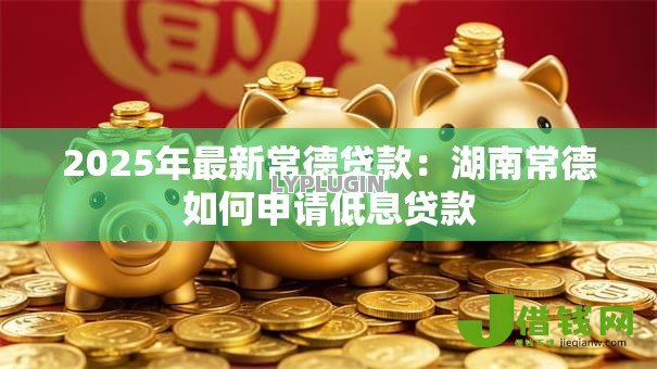2025年最新常德贷款：湖南常德如何申请低息贷款