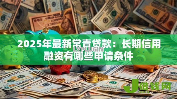 2025年最新常青贷款:长期信用融资有哪些申请条件 2025年最新常青贷款:长期信用融资有哪些申请条件