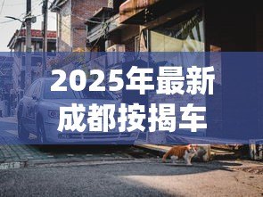 2025年最新成都按揭车不押车贷款：成都贷款买车需要押车吗