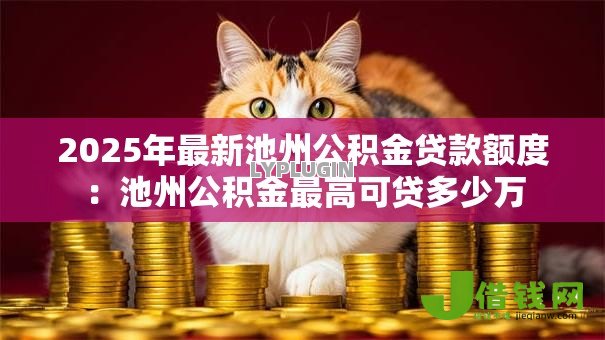 2025年最新池州公积金贷款额度：池州公积金最高可贷多少万