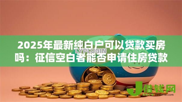 2025年最新纯白户可以贷款买房吗:征信空白者能否申请住房贷款 2025年最新纯白户可以贷款买房吗:征信空白者能否申请住房贷款