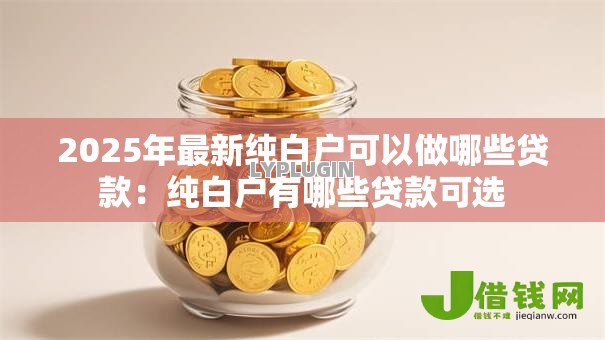 2025年最新纯白户可以做哪些贷款：纯白户有哪些贷款可选