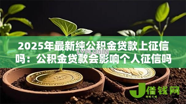 2025年最新纯公积金贷款上征信吗:公积金贷款会影响个人征信吗 2025年最新纯公积金贷款上征信吗:公积金贷款会影响个人征信吗
