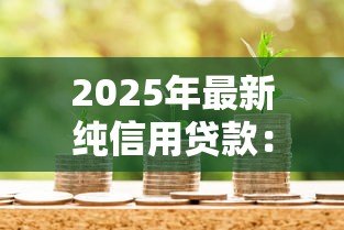 2025年最新纯信用贷款:无抵押借款如何申请 2025年最新纯信用贷款:无抵押借款如何申请