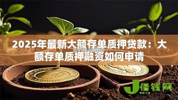 2025年最新大额存单质押贷款：大额存单质押融资如何申请