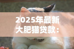 2025年最新大肥猫贷款：体型胖的猫咪能申请贷款吗