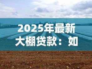 2025年最新大棚贷款:如何申请温室种植资金支持 2025年最新大棚贷款:如何申请温室种植资金支持
