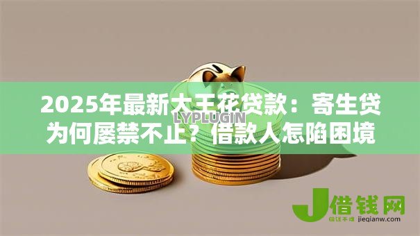 2025年最新大王花贷款：寄生贷为何屡禁不止？借款人怎陷困境？
