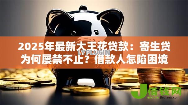 2025年最新大王花贷款：寄生贷为何屡禁不止？借款人怎陷困境？