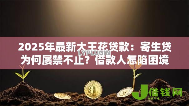 2025年最新大王花贷款：寄生贷为何屡禁不止？借款人怎陷困境？