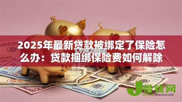 2025年最新贷款被绑定了保险怎么办：贷款捆绑保险费如何解除