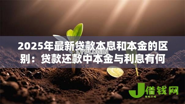 2025年最新贷款本息和本金的区别:贷款还款中本金与利息有何不同 2025年最新贷款本息和本金的区别:贷款还款中本金与利息有何不同