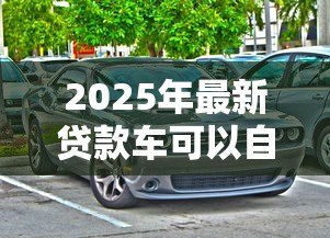 2025年最新贷款车可以自己上牌吗：贷款购车能否自行办理牌照