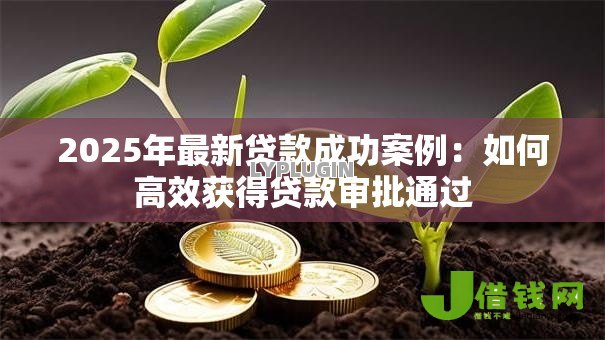 2025年最新贷款成功案例:如何高效获得贷款审批通过 2025年最新贷款成功案例:如何高效获得贷款审批通过