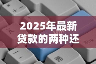2025年最新贷款的两种还款方式:贷款分期和一次性还款哪个更划算 2025年最新贷款的两种还款方式:贷款分期和一次性还款哪个更划算