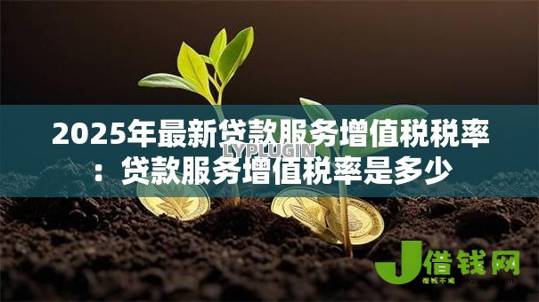 2025年最新贷款服务增值税税率:贷款服务增值税率是多少 2025年最新贷款服务增值税税率:贷款服务增值税率是多少