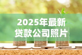 2025年最新贷款公司照片:如何识别正规金融机构的办公环境 2025年最新贷款公司照片:如何识别正规金融机构的办公环境