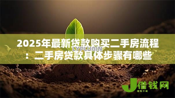 2025年最新贷款购买二手房流程:二手房贷款具体步骤有哪些 2025年最新贷款购买二手房流程:二手房贷款具体步骤有哪些