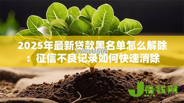 2025年最新贷款黑名单怎么解除:征信不良记录如何快速消除 2025年最新贷款黑名单怎么解除:征信不良记录如何快速消除