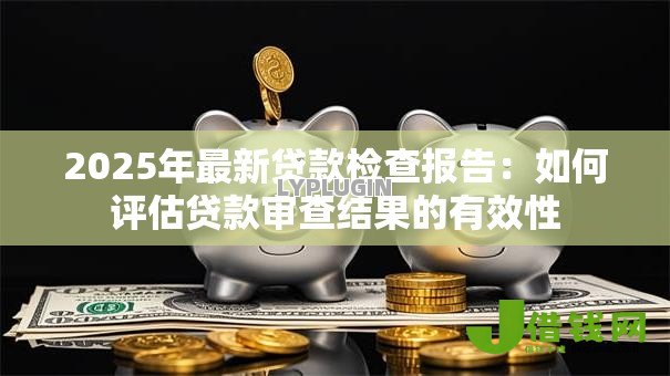 2025年最新贷款检查报告:如何评估贷款审查结果的有效性 2025年最新贷款检查报告:如何评估贷款审查结果的有效性