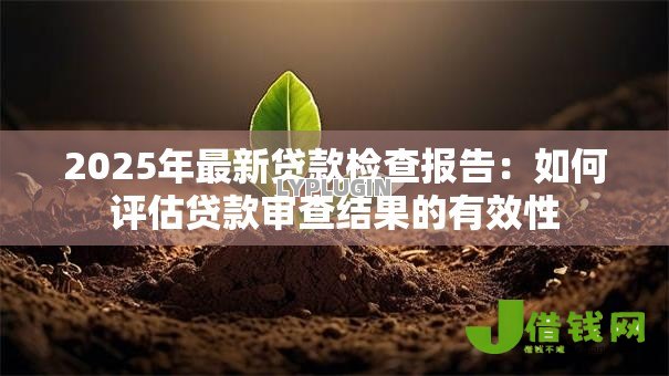 2025年最新贷款检查报告:如何评估贷款审查结果的有效性 2025年最新贷款检查报告:如何评估贷款审查结果的有效性