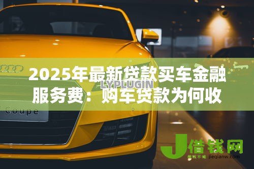 2025年最新贷款买车金融服务费：购车贷款为何收取金融服务费