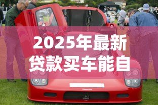 2025年最新贷款买车能自己上牌吗：按揭购车能否自行办理上牌手续