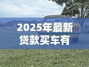 2025年最新贷款买车有手续费吗:贷款购车是否需要额外支付手续费 2025年最新贷款买车有手续费吗:贷款购车是否需要额外支付手续费