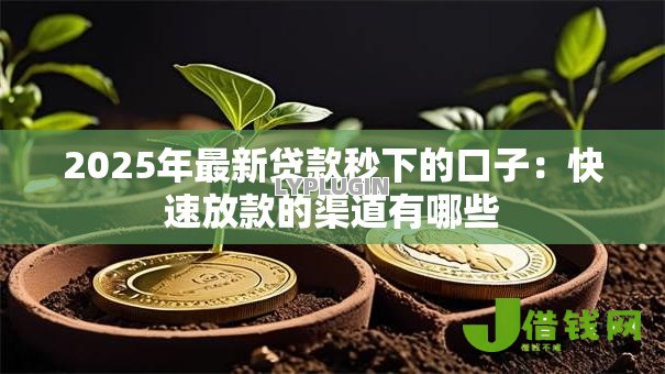 2025年最新贷款秒下的口子:快速放款的渠道有哪些 2025年最新贷款秒下的口子:快速放款的渠道有哪些