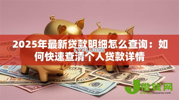 2025年最新贷款明细怎么查询：如何快速查清个人贷款详情