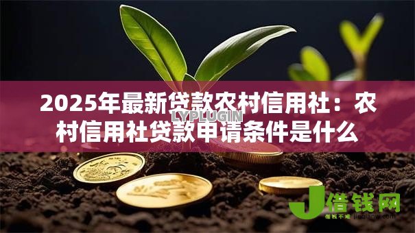 2025年最新贷款农村信用社:农村信用社贷款申请条件是什么 2025年最新贷款农村信用社:农村信用社贷款申请条件是什么