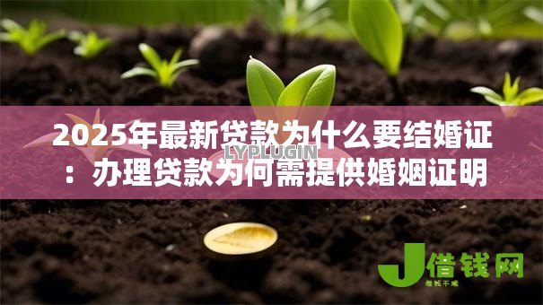 2025年最新贷款为什么要结婚证:办理贷款为何需提供婚姻证明 2025年最新贷款为什么要结婚证:办理贷款为何需提供婚姻证明