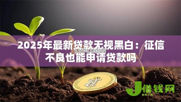 2025年最新贷款无视黑白:征信不良也能申请贷款吗 2025年最新贷款无视黑白:征信不良也能申请贷款吗