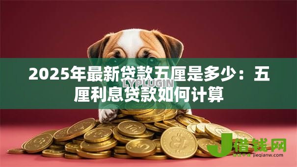 2025年最新贷款五厘是多少：五厘利息贷款如何计算