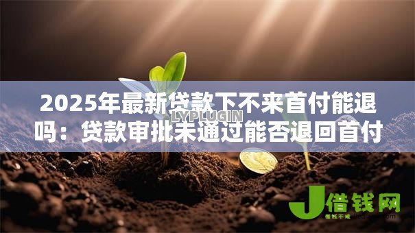 2025年最新贷款下不来首付能退吗:贷款审批未通过能否退回首付 2025年最新贷款下不来首付能退吗:贷款审批未通过能否退回首付