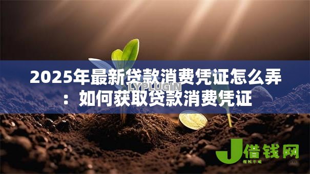 2025年最新贷款消费凭证怎么弄:如何获取贷款消费凭证 2025年最新贷款消费凭证怎么弄:如何获取贷款消费凭证