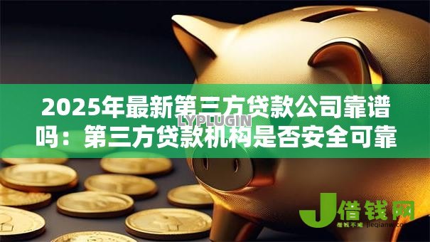 2025年最新第三方贷款公司靠谱吗：第三方贷款机构是否安全可靠