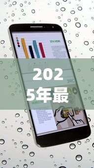 2025年最新电话号贷款:仅凭手机号能借钱吗 2025年最新电话号贷款:仅凭手机号能借钱吗