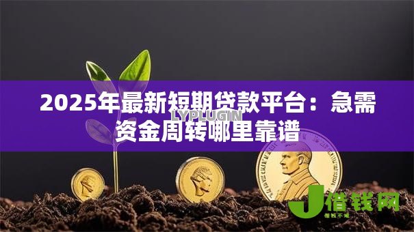 2025年最新短期贷款平台：急需资金周转哪里靠谱