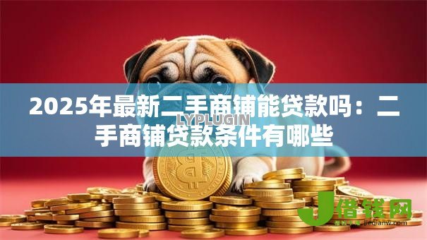 2025年最新二手商铺能贷款吗：二手商铺贷款条件有哪些