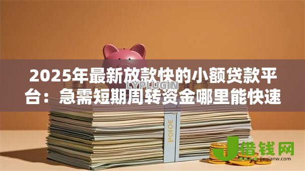 2025年最新放款快的小额贷款平台:急需短期周转资金哪里能快速借到 2025年最新放款快的小额贷款平台:急需短期周转资金哪里能快速借到