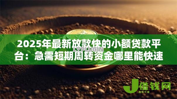 2025年最新放款快的小额贷款平台:急需短期周转资金哪里能快速借到 2025年最新放款快的小额贷款平台:急需短期周转资金哪里能快速借到