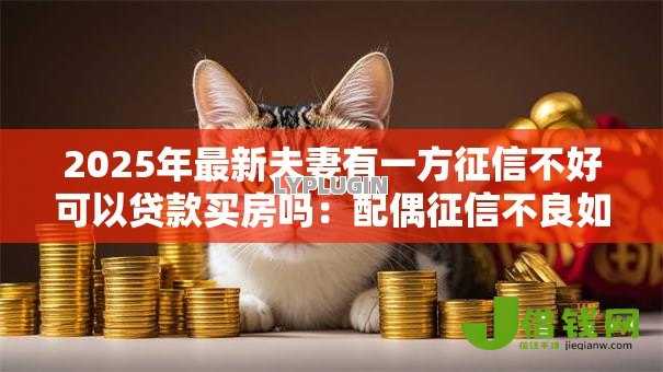 2025年最新夫妻有一方征信不好可以贷款买房吗:配偶征信不良如何申请房贷 2025年最新夫妻有一方征信不好可以贷款买房吗:配偶征信不良如何申请房贷