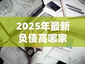 2025年最新负债高哪家贷款好下:负债高征信花适合申请哪些贷款 2025年最新负债高哪家贷款好下:负债高征信花适合申请哪些贷款