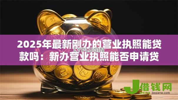 2025年最新刚办的营业执照能贷款吗:新办营业执照能否申请贷款 2025年最新刚办的营业执照能贷款吗:新办营业执照能否申请贷款