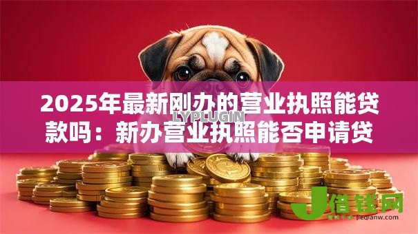 2025年最新刚办的营业执照能贷款吗:新办营业执照能否申请贷款 2025年最新刚办的营业执照能贷款吗:新办营业执照能否申请贷款