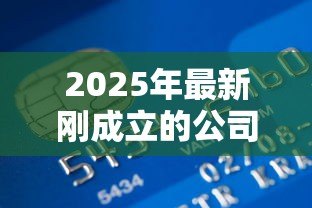 2025年最新刚成立的公司能贷款吗：新公司如何申请经营贷款