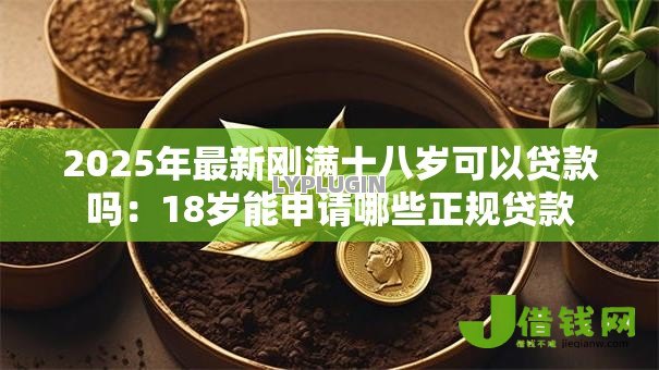 2025年最新刚满十八岁可以贷款吗:18岁能申请哪些正规贷款 2025年最新刚满十八岁可以贷款吗:18岁能申请哪些正规贷款